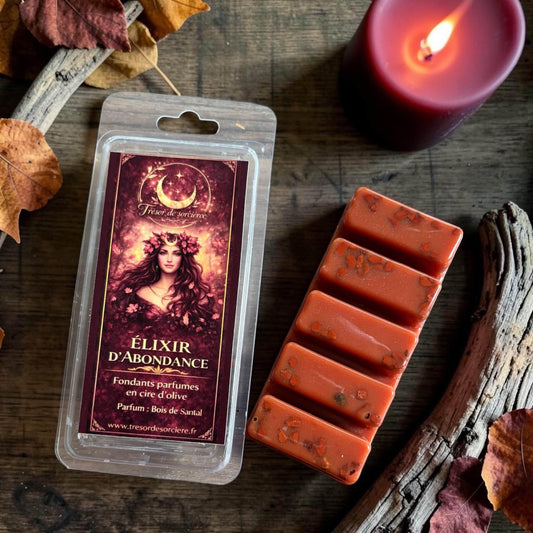 Fondants de cire parfumés "élixir d'abondance", fondants équinoxe automne, fondants de mabon