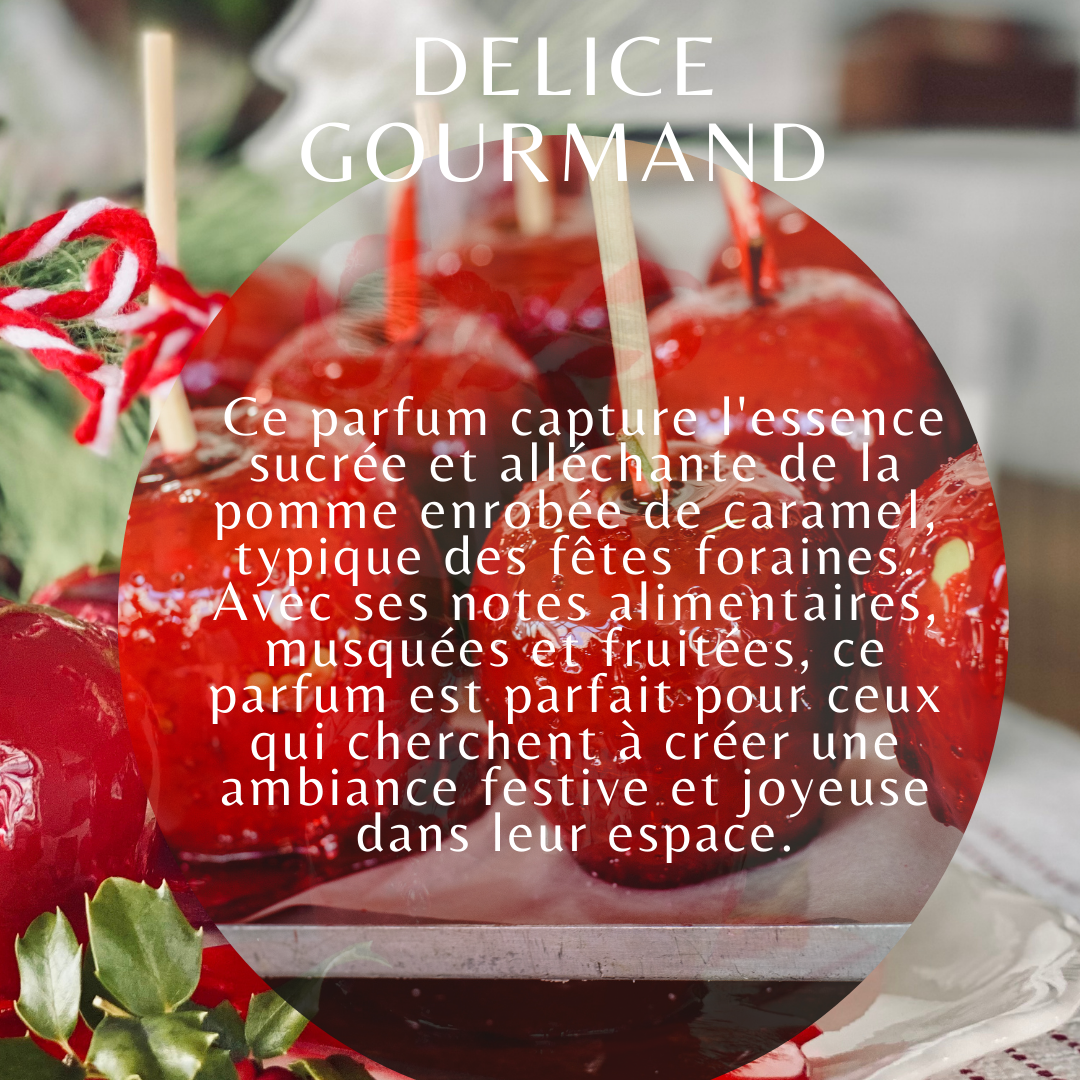 Fondants de cire parfumés "Délice gourmand"