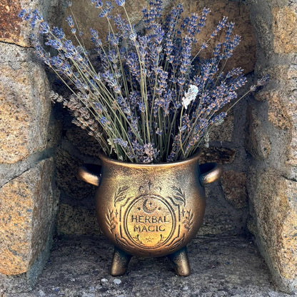 Pot en terre cuite chaudron de sorcière
