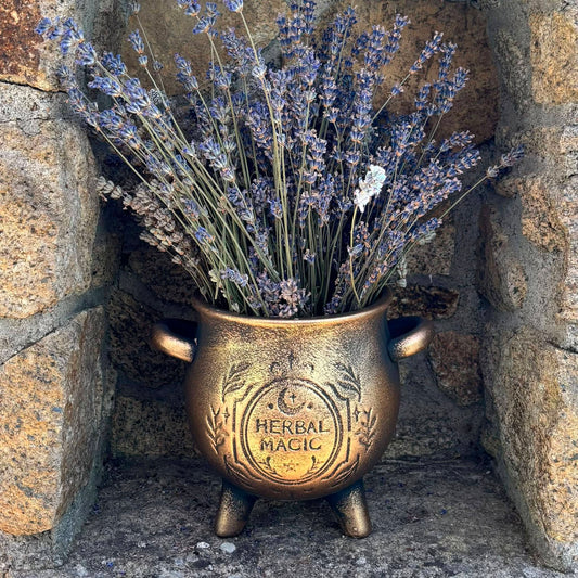 Pot en terre cuite chaudron de sorcière