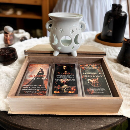 Coffret de fondants "Sortilèges d'ambiance", fondants de cire parfumés