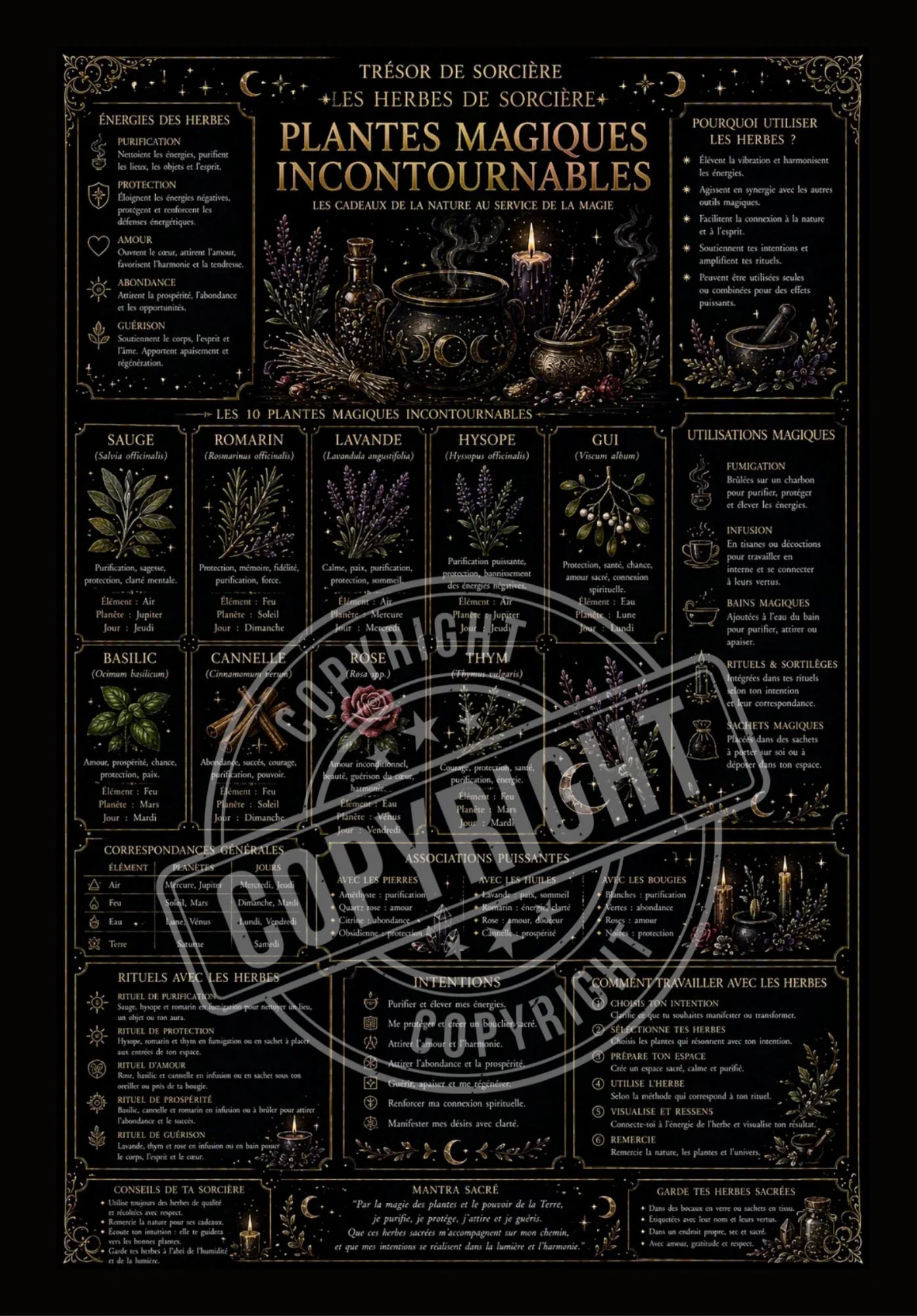 Téléchargement affiche "plantes magiques" -A3-A4